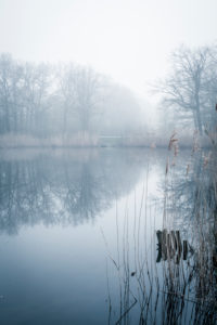 Foggy spring morning Foggy spring morning